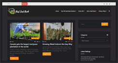 Desktop Screenshot of bestseedbank.com